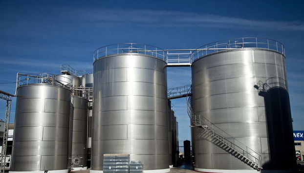 Bodegas Romale Wine Tour - Foto 3