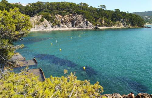 Un,Deux,Trois...Soleil - Foto 14