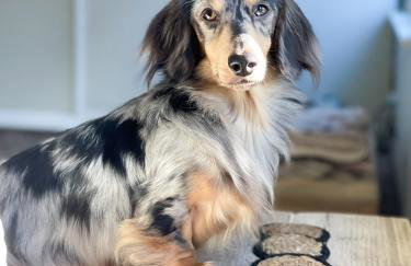 Oak Tree Hideaway - Foto 65