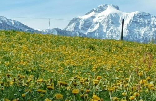 Ferienwohnung Ilona, Armin & Simon Funke - Photo 27
