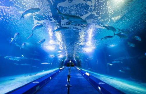 Piso Lorena Playa 1min walk - Foto 55