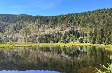 Lindners Hideaways - Gutshof Pine Retreat - Sauna - In Villa - Terrasse - Garten mit Rehgehege - Frühstück verfügbar - SKI - Arber - Osser - bis 5 Pers - Photo 30