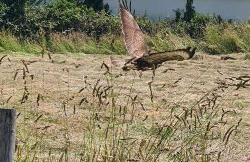 The Piggery - Corfe Mullen - Photo 15