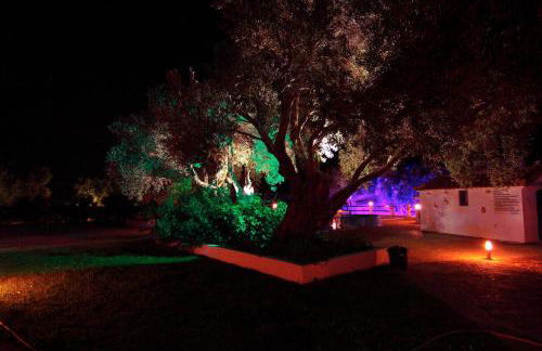 White Rock Apartments - Foto 42