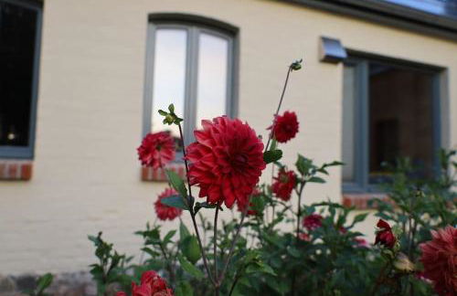 Ferienhaus Bullenberg - Foto 21