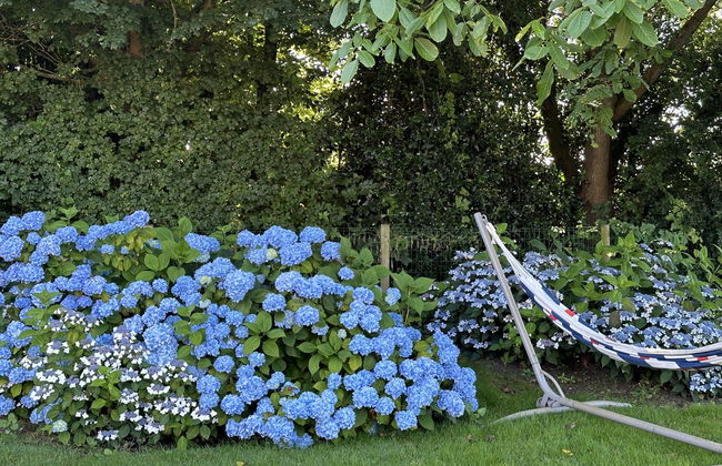 5 bedroom House in Stavoren with garden and terrace - Photo 26