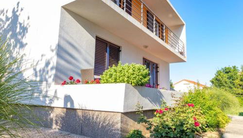 CAPTAIN MIRO - Foto 5