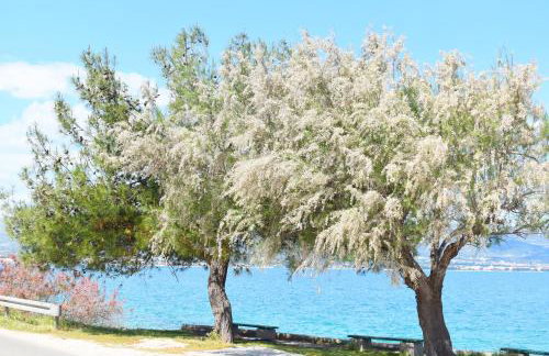 Villa Madu --- entire private villa with jacuzzi - Foto 31