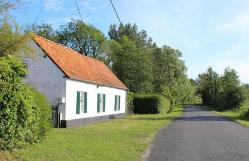 Les Bleuets - Foto 7