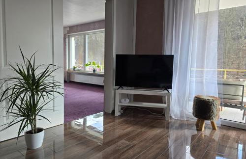 Marburg Apartment entspannter Erwin in ruhiger Waldrandlage mit Balkon und Kamin - Foto 6