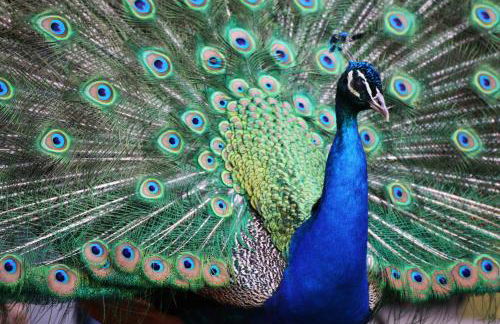 Albergue Casa Fumenal - Foto 53