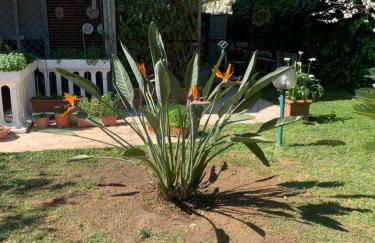 Anzio (RM), zona Santa Teresa - Photo 6