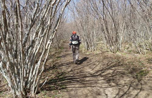 Les Chenets - Foto 16