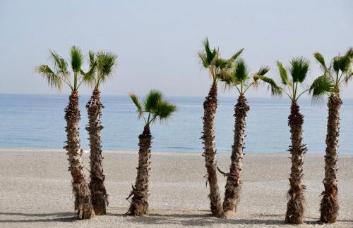 Lasgondolas1015 - Photo 42