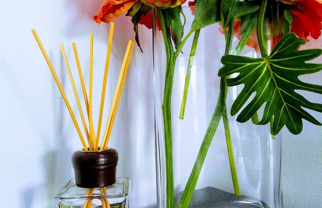 VilaPortuguesa - Foto 15