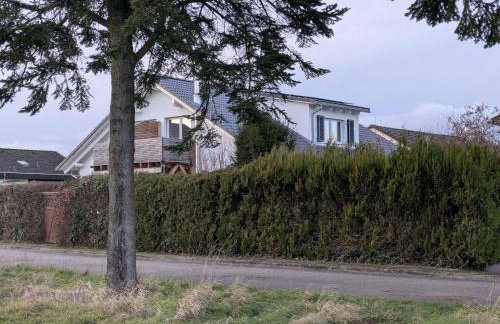 Badischer Neubau-Ruhe-Kunst-Natur - Foto 34