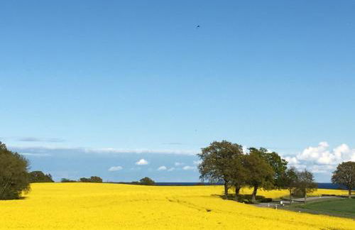 Ferienhof Kluvetasch Appartement Nr 2 - Strandmuschel - Foto 5