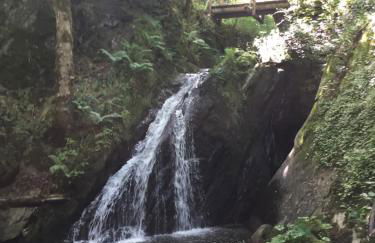 Ritterstube - Eifelstuben mit Charme, Nähe See und Burg, außergewöhnlich, Vulkaneifel - Photo 60