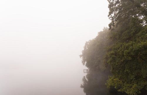 Jemioła Chaty Niedźwiady Małe - Foto 33