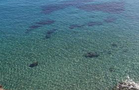 Serenity Villa-Ground floor-Sea view- sea 150m away - Foto 60