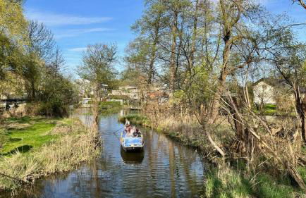 Ferienhaus im Wald, am Briesener See - Foto 10