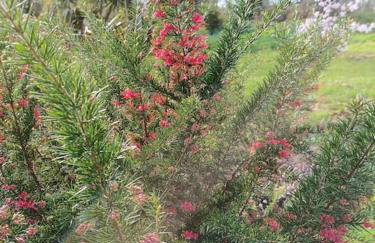La maison bleue, entre terre et mer - Foto 20