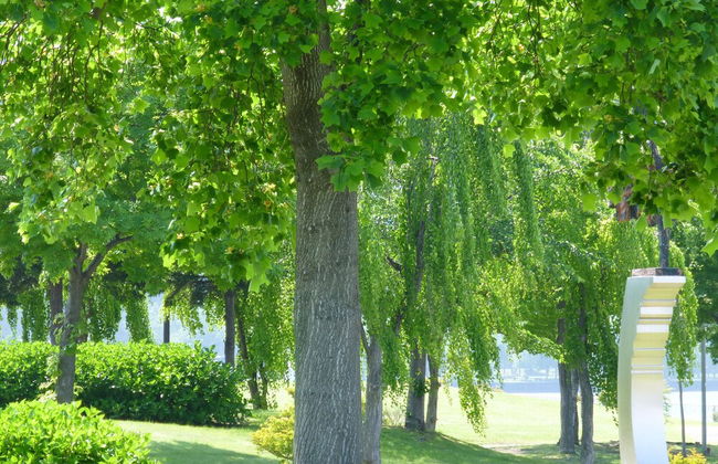 Kohan no yado Kojima - Foto 30