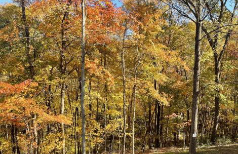 The Quana - Hot tub, fire pit, and Huge Entertainment Area - Foto 26