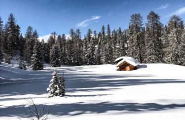 Apartments DA LA VEDLA Flats - Foto 49