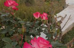 Cozy Apollon Villa, Sea View, Next To Galaxidi - Photo 59