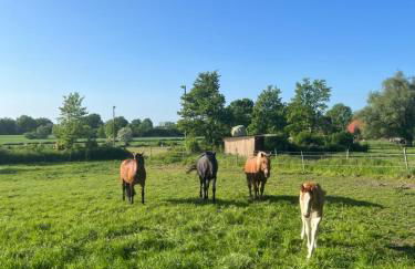 Wohnung im Schloss - Foto 28