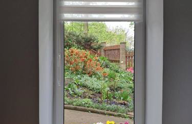 Przy pałacu - Foto 15