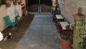 Casa Rural Goñi - Foto 3, Garden