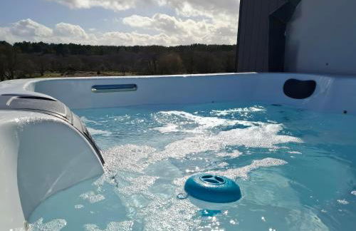 Red Squirrel - Photo 8