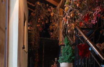 Fyllenia Country Home, Aridaia, Pozar Baths - Foto 15