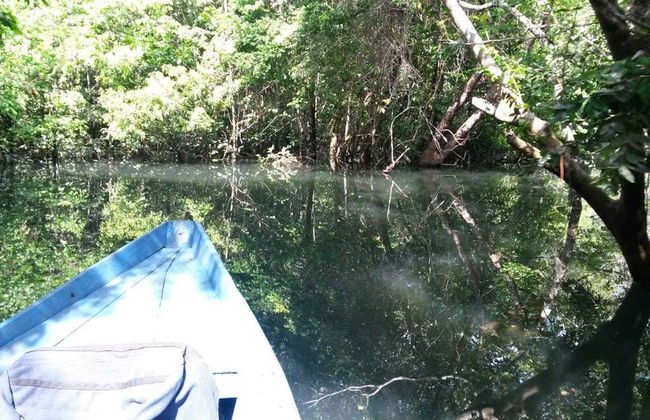 Tour por la ensenada del Amorim - Foto 6