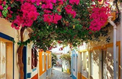 Luisela Mar Algarve - Photo 35