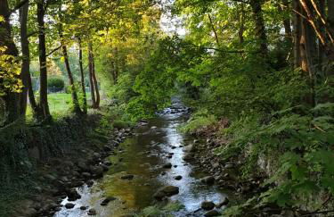 Love nest munster - Foto 9