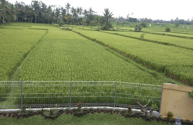 Bali Lane Villa - Foto 10