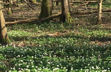 Adorable Hideaway with log fire and incredible views - Foto 14