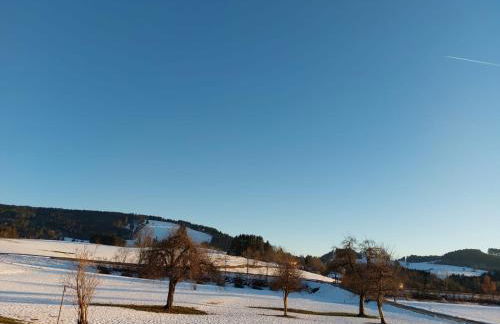 Ferienhaus Rasch - Foto 34