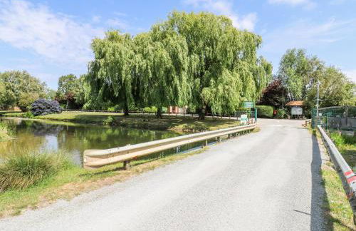 Kingfisher - Photo 40