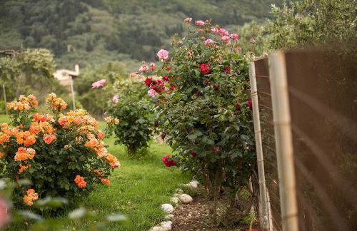 Areti Studios - Foto 6