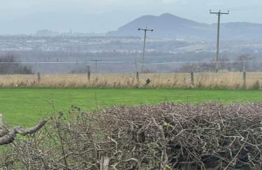 Arthur's View - Photo 25