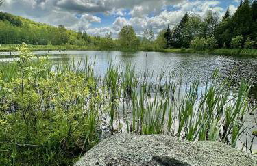 Cozy Off-Grid Cabin with Breathtaking Serene Views for a Peaceful Getaway Surrounded by Nature in Barton, Vermont - Foto 23