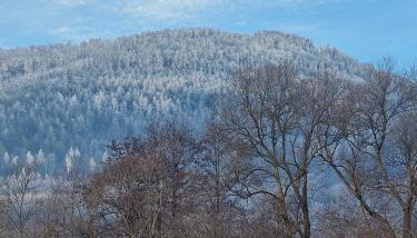 Porębana Osada - Foto 3