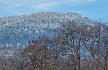 Porębana Osada - Foto 3