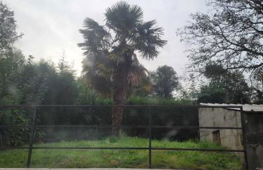 Les Malous - Foto 10