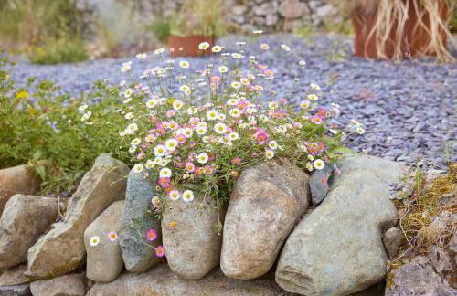 Ty Pandy Eclectic Luxury Family cottage Sleeps 8 adults and 2 children - Photo 44