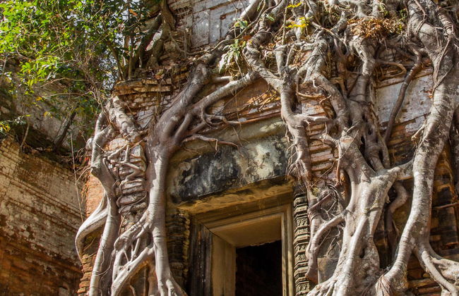 Escursione a Koh Ker - Foto 1